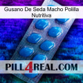 Male Silkworm Moth Nourishing Liquid viagra1